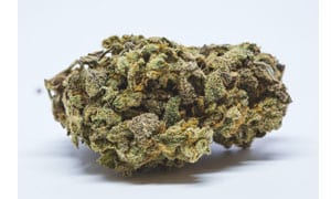 Fruity Pebbles Cannabis Strain Review