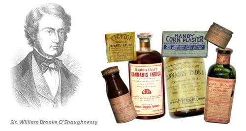 Sir William Brooke O-Shaughnessy and medical marijuana in Europe