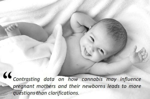 cannabis effects on newborn babies