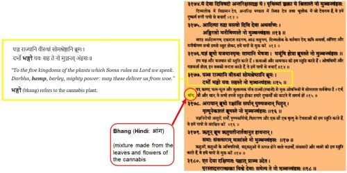 cannabis reference as bhang in Veda