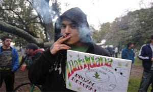 Cannabis in Argentina
