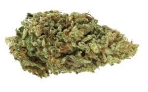 lifter cannabis strain