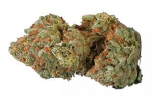 sour bubba cannabis strain