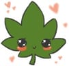 weed leaf and love