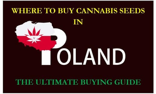 Cannabis in Poland