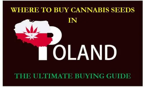 Cannabis in Poland