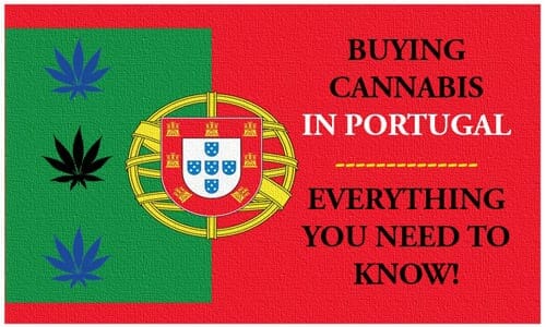 Buying Cannabis In Portugal - Everything You Need To Know!