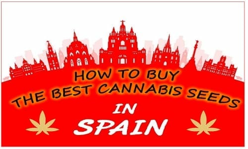 Cannabis in Spain