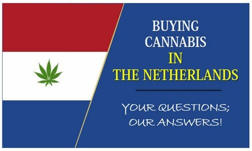 cannabis and the Netherlands