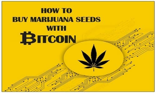cannabis and Bitcoin