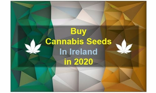 Cannabis in Ireland