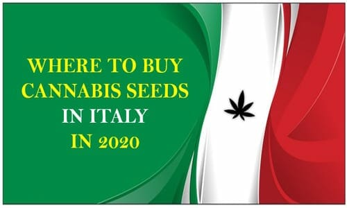 Cannabis in Italy