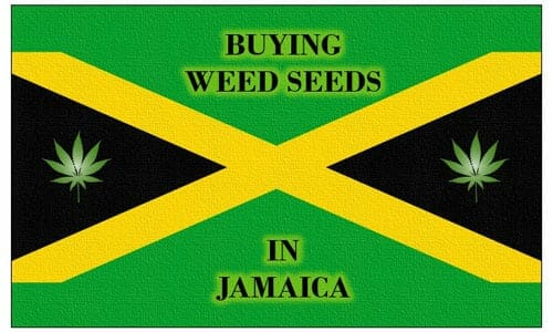 Cannabis in Jamaica