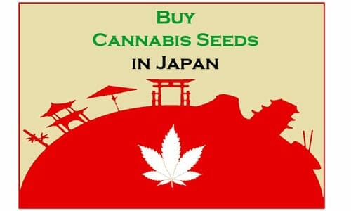 Cannabis in Japan