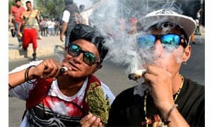 cannabis in mexico