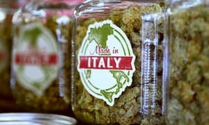 Cannabis in Italy