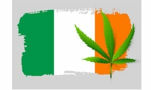 Cannabis in Ireland