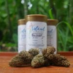 Cannabis in Jamaica