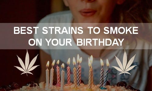 best strains to smoke on your birthday
