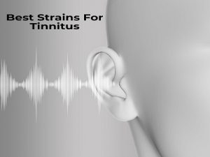 best cannabis strains for tinnitus