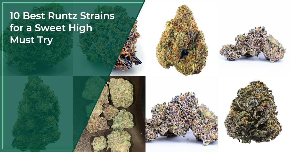 Best Runtz strains