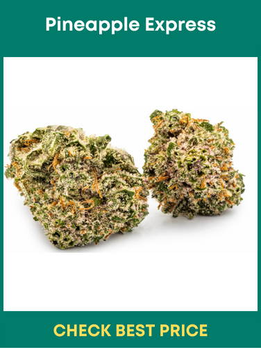 #11. Pineapple Express – A Perfect Day-Time Sativa Dominant Strain