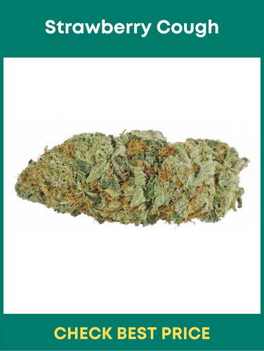#4. Strawberry Cough – A Delicious Sativa Strain With High THC