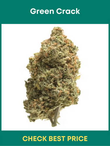 #7. Green Crack – One Of The Most Powerful Sativa Strains