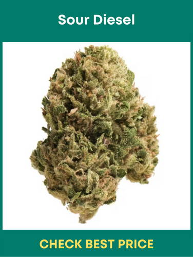 #8. Sour Diesel – One Of the Highest THC Sativa Strains