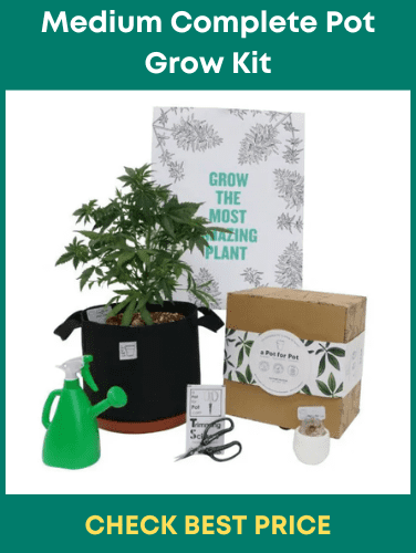 Medium Complete Pot Grow Kit