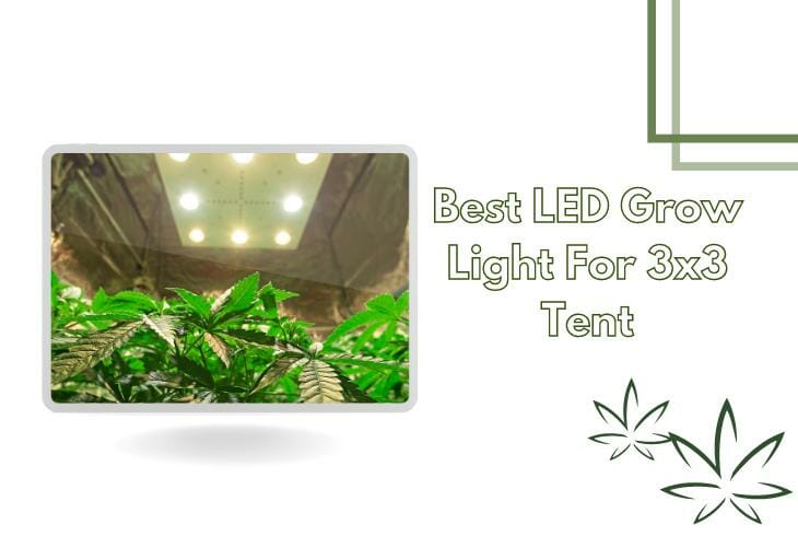 Top 10 Best LED Grow light for 3×3 grow tent