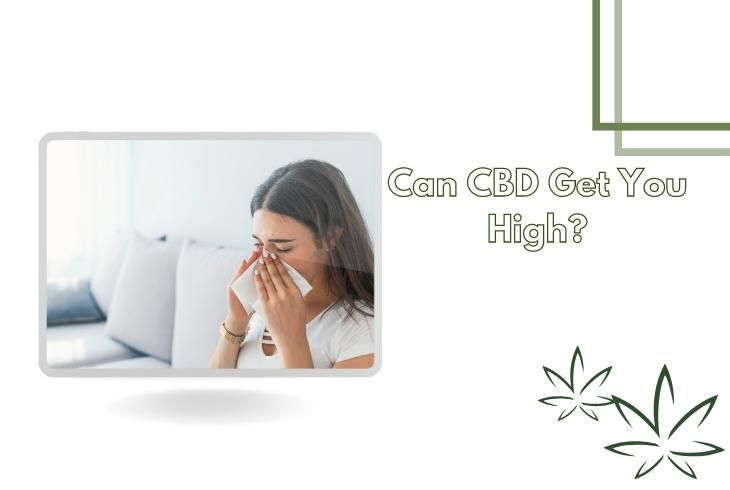 Can CBD Get You High
