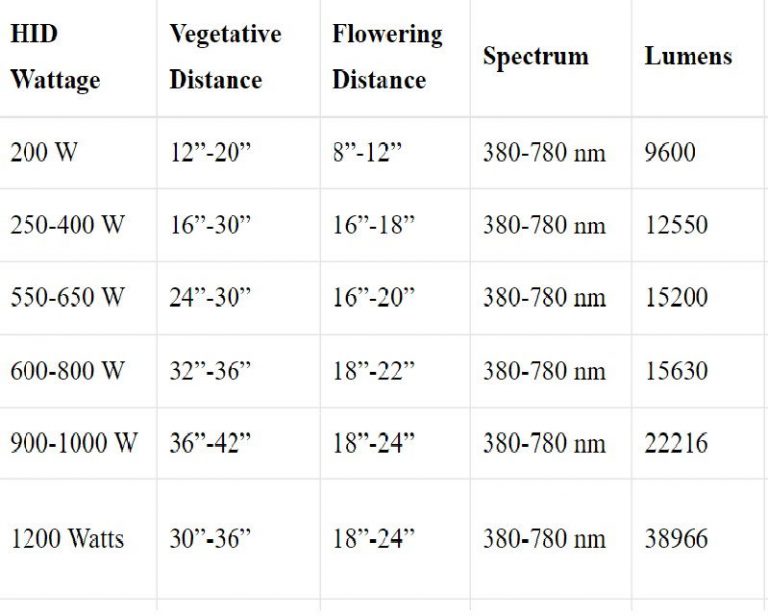 LED Grow Light Distance Chart Everything you need to KNOW