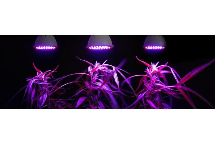 What Makes LED Grow Lights Good