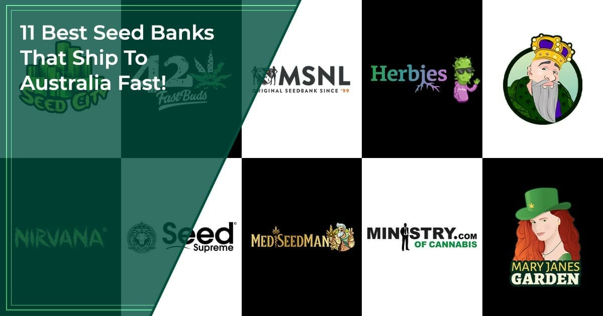 11 Best Seed Banks That Ship To Australia Fast!