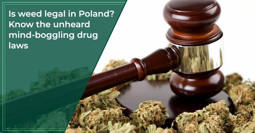Is weed legal in Poland Know the unheard mind-boggling drug laws