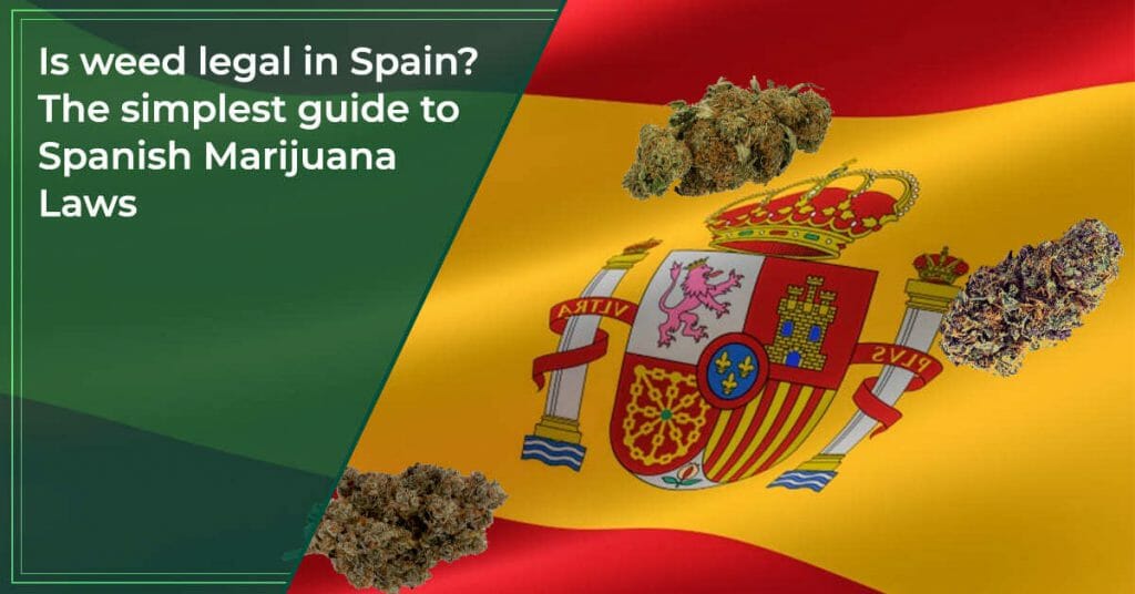 Is weed legal in Spain The simplest guide to Spanish Marijuana Laws