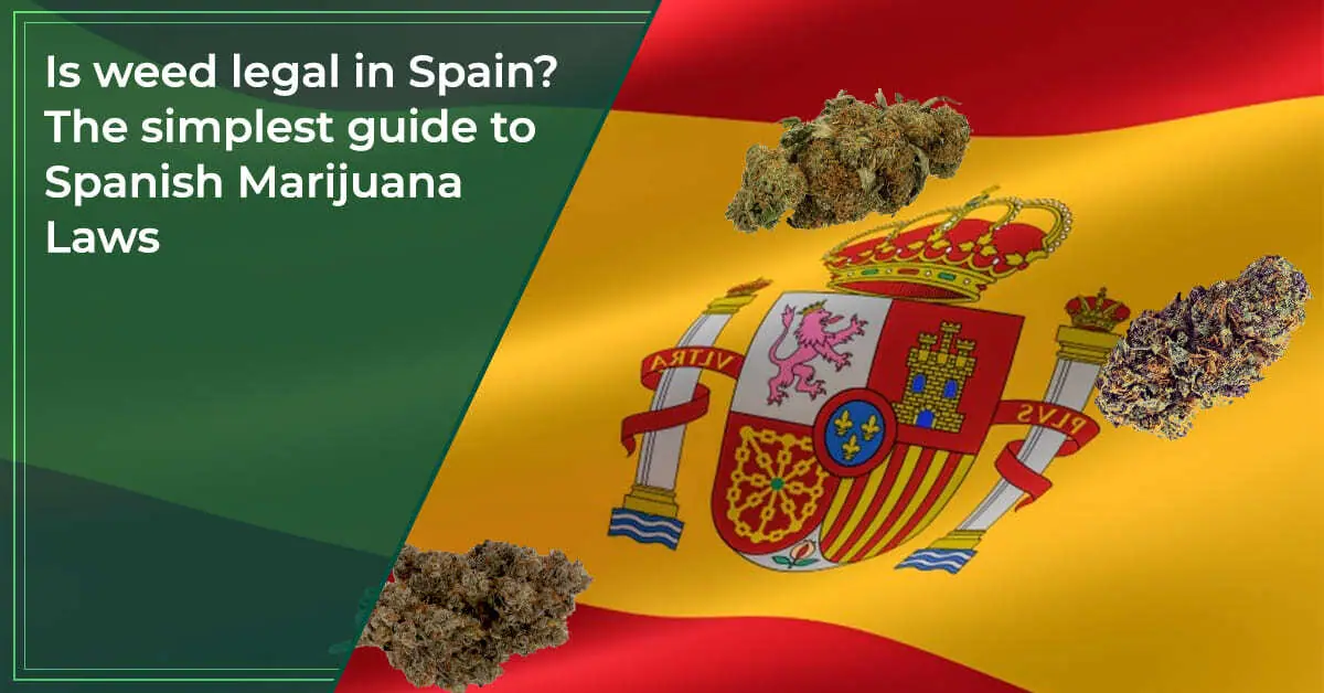 Is weed legal in Spain The simplest guide to Spanish Marijuana Laws