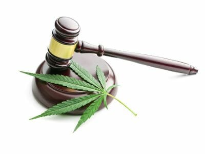 Marijuana Laws in Spain