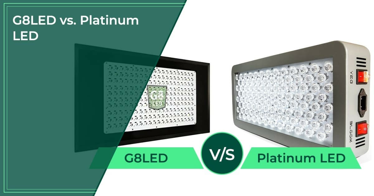 G8LED vs. Platinum LED