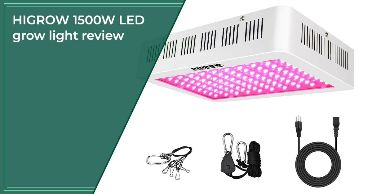 HIGROW 1500W LED grow light review