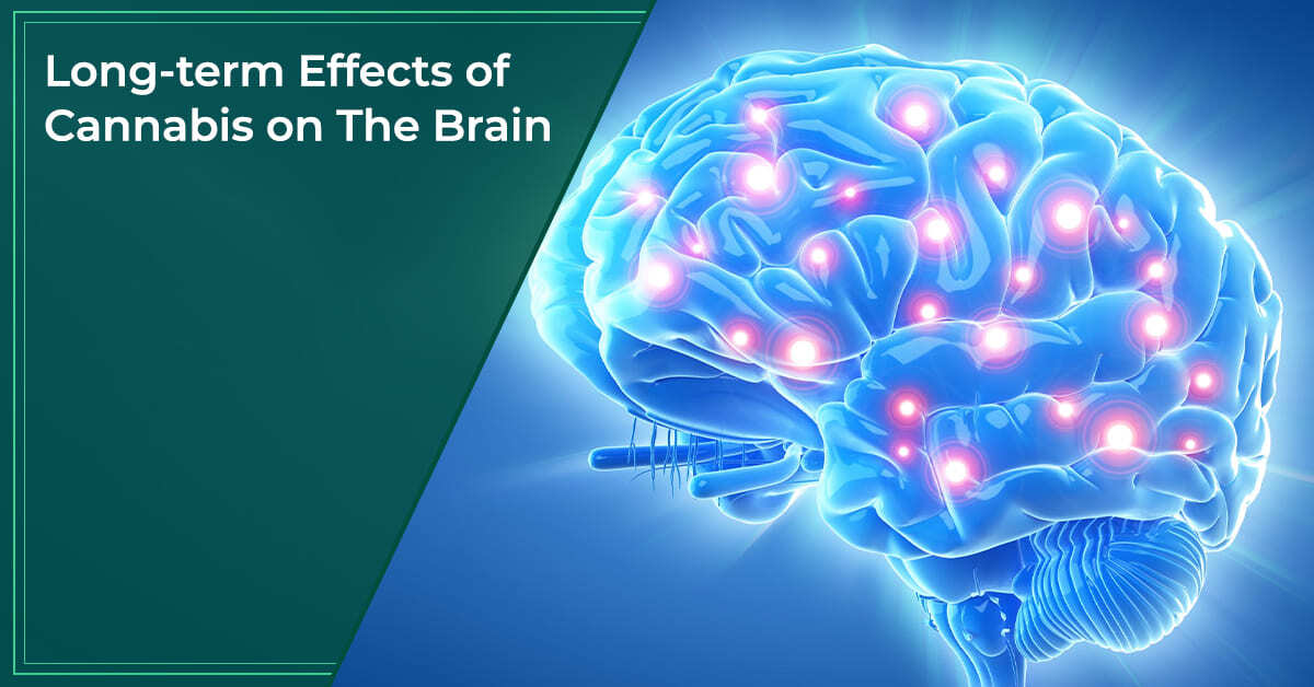 Long-term Effects of Cannabis on The Brain