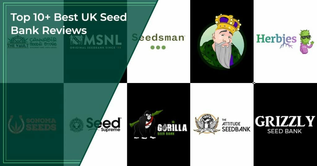 Top 10+ Best UK Seed Bank Reviews