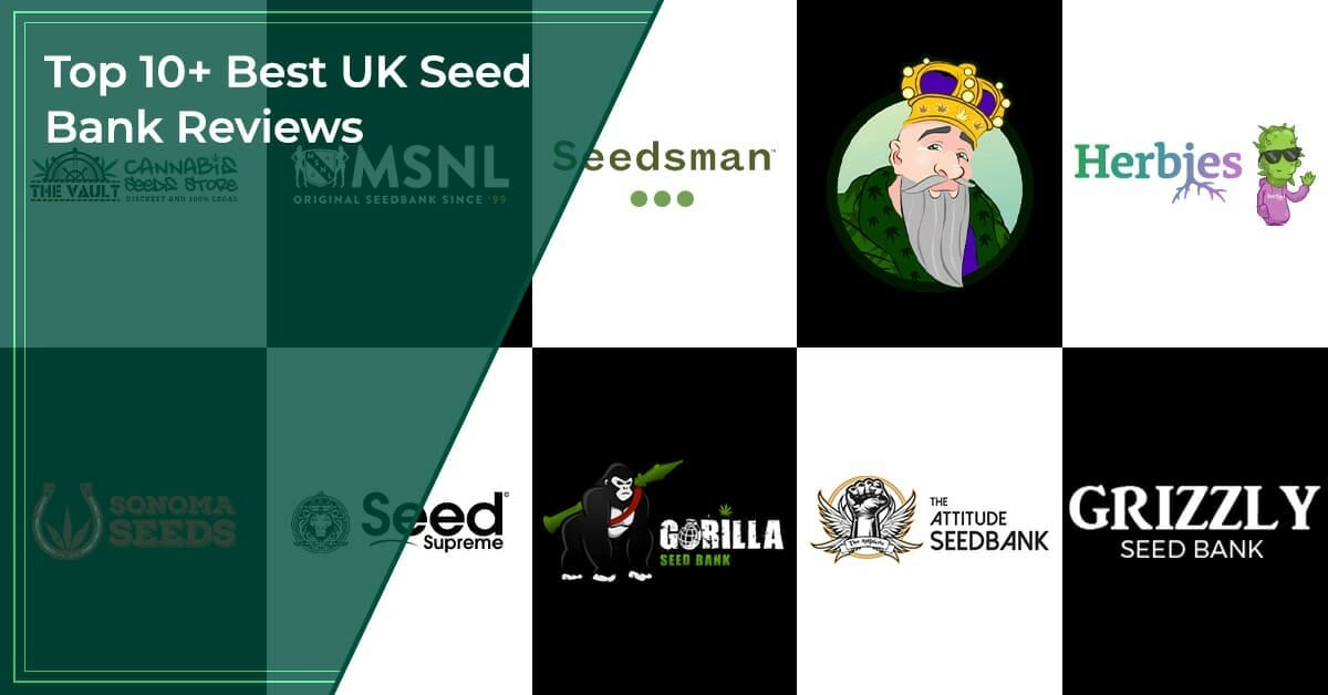 Top 10+ Best UK Seed Bank Reviews