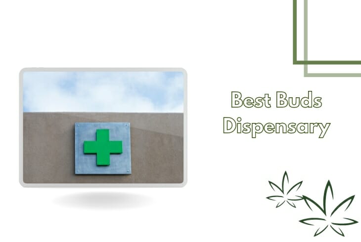 Best Buds Dispensary Review In 2023 Things You Must KNOW   Best Buds Dispensary 