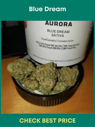 Blue Dream