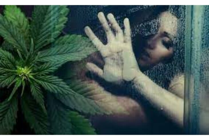 How Certain Cannabis Strains Affect Sexual Pleasure