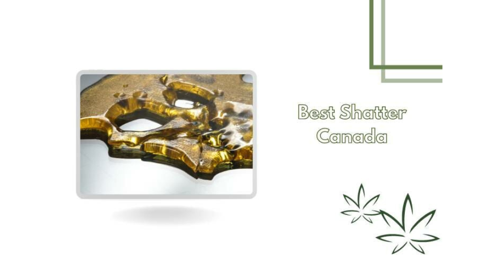 6 Best Quality Shatter in Canada – Our Top Picks