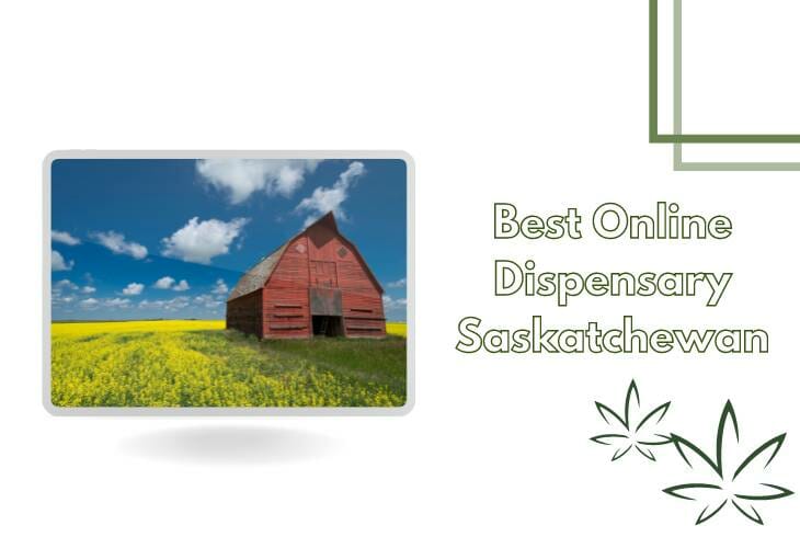 Best Online Dispensary Saskatchewan