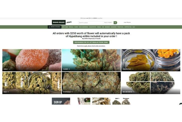 Bhang-Bhang_s Website Quality